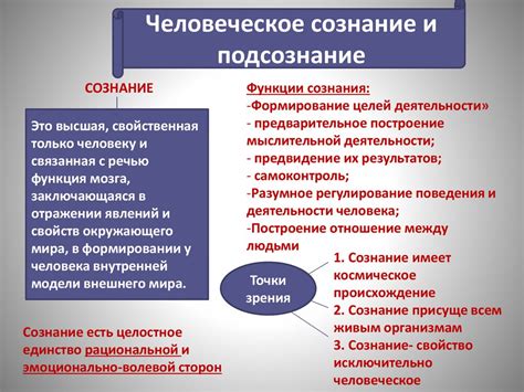 Человеческое сознание: различные теории и аргументы