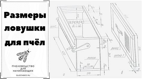 Чертежи и размеры для изготовления ловушки