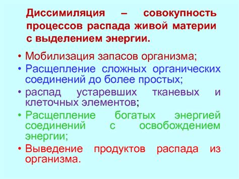 Четвертая причина: мобилизация запасов энергии в организме