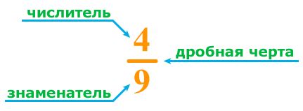 Числитель и знаменатель в математике