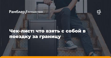 Что взять с собой при перевозке собаки в такси