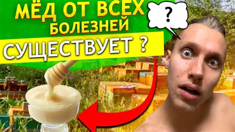 Что влияет на цвет меда?