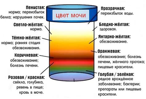 Что говорит о здоровье организма