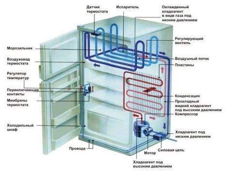 Что делать, если холодильник не работает, а морозилка – да?