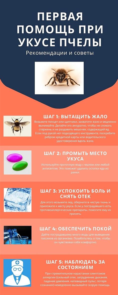 Что делать после укуса?