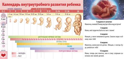 Что заставляет ребенка мало двигаться на 23 неделе беременности