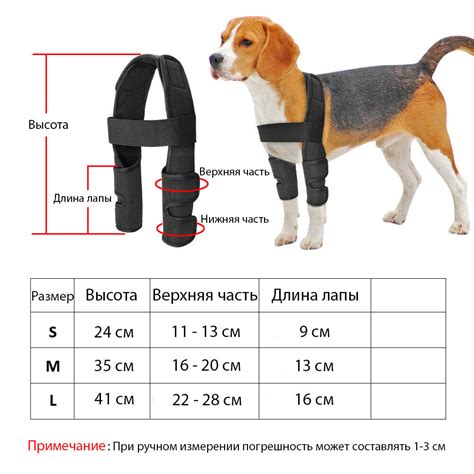 Что может привести к наклону собаки на передние лапы?