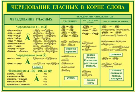 Что нужно запомнить о правописании слов "камод" и "комод"