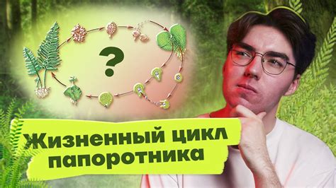 Что нужно знать о жизненном цикле и особенностях вшей