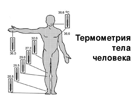 Что определяет объем тела человека: важность измерений