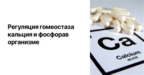 Что приводит к повышенному уровню кальция в крови?