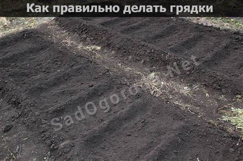 Что приводит к появлению красного цвета земли на огороде?