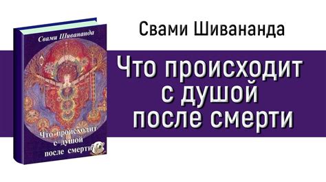 Что происходит с бумагой после смывания?