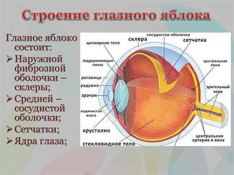 Что такое "прыгающий правый глаз"