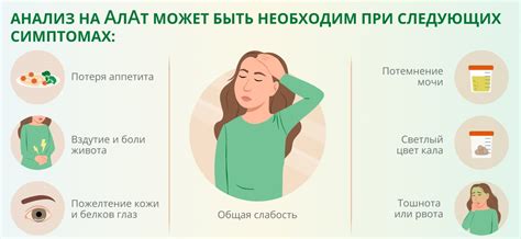 Что такое АЛАТ и почему его повышение может быть проблемой