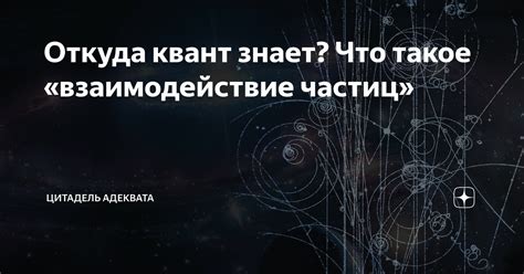 Что такое Цитадель безправия?