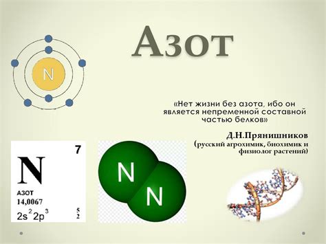 Что такое азот и его роль в аквариуме