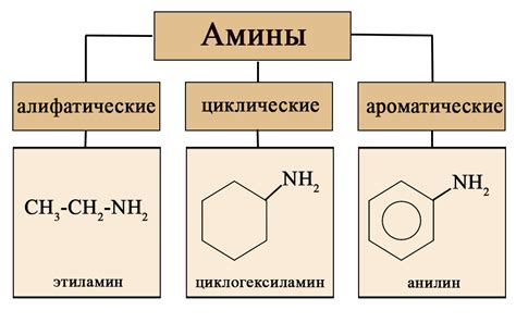 Что такое амины?