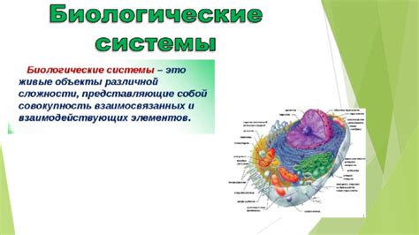 Что такое биологические системы?