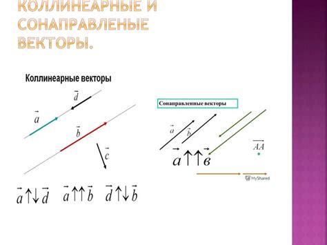 Что такое векторы сонаправлены и коллинеарны