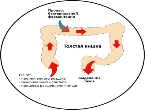 Что такое вздутие животика у ребенка и причины его развития