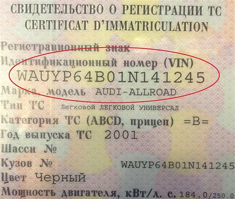 Что такое вин номер автомобиля и как его использовать для определения типа двигателя