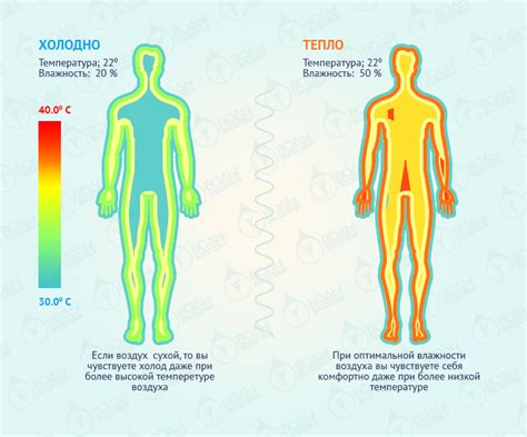 Что такое влажность семян?