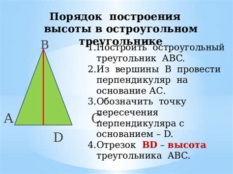 Что такое высота в математике 5 класс?