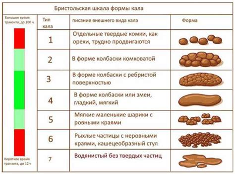 Что такое жидкий стул и как он отличается от нормального?