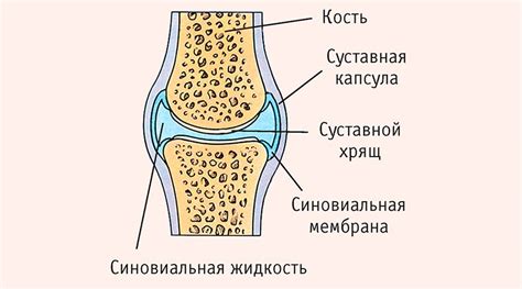 Что такое жидкость в коленном суставе и ее последствия