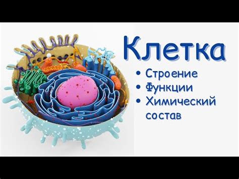 Что такое клетка и почему она называется биосистемой?