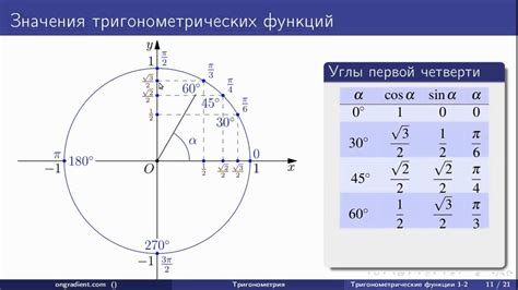 Что такое клеточки в контексте косинуса