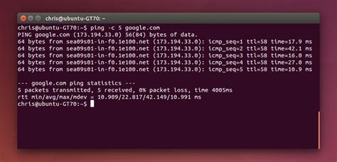 Что такое команда ping в Linux