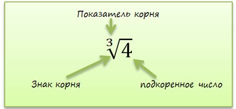 Что такое корень числа и зачем он нужен