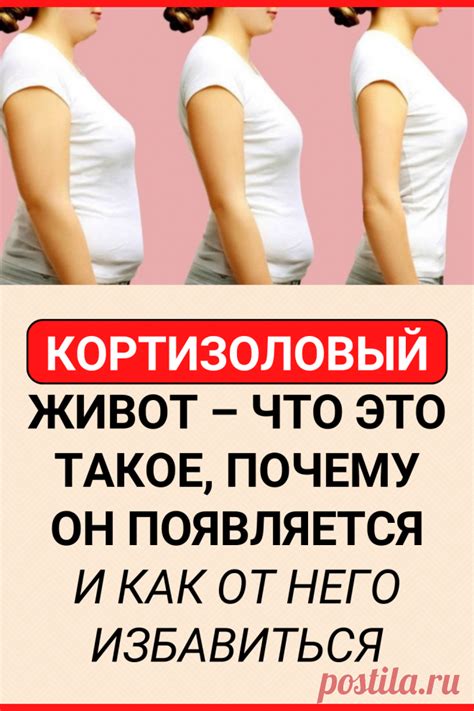 Что такое кортизоловый живот?