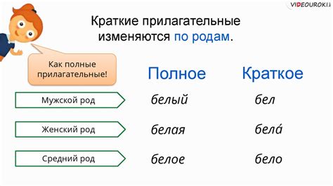 Что такое краткие и полные прилагательные?