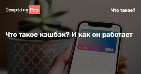 Что такое кэшбэк и как он работает