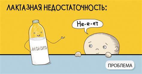 Что такое лактозная недостаточность