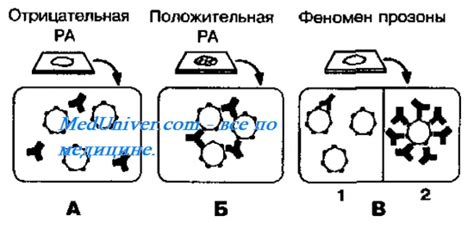 Что такое обратная реакция