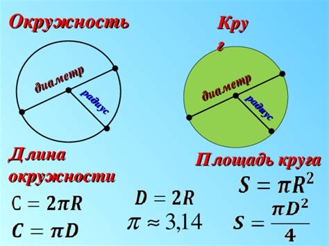 Что такое окружность и площадь?