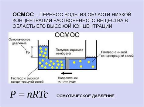 Что такое осмотическое давление и почему оно важно?