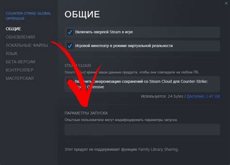 Что такое параметры запуска Steam