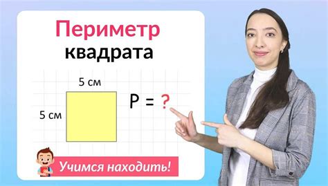 Что такое периметр и как его найти?