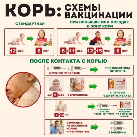 Что такое пиявочное лечение и как оно проводится?