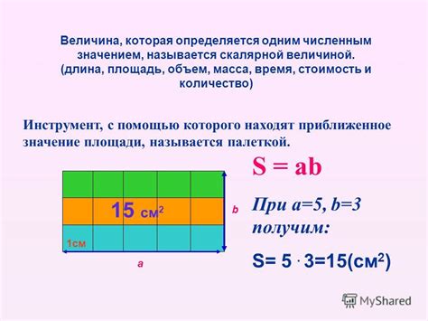 Что такое площадь