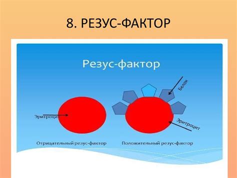 Что такое резус-фактор?