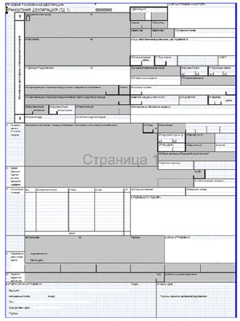 Что такое таможенные декларации и зачем их проверять