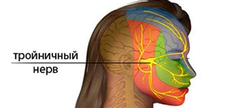 Что такое тройничный нерв на лице?