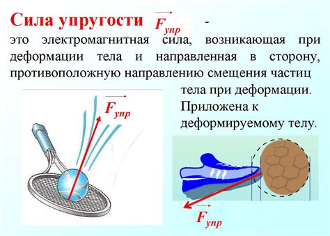 Что такое упругость и ее сила