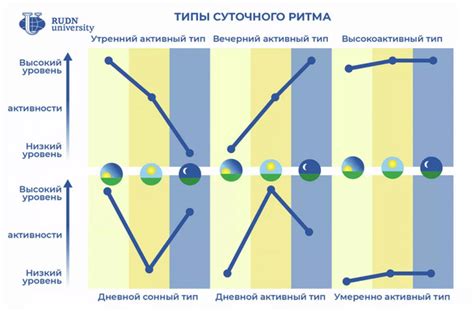 Что такое хронотип?